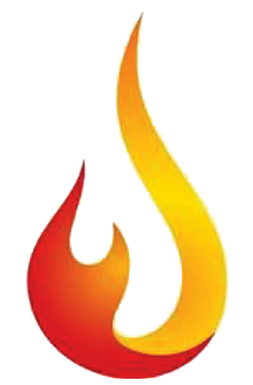 IBS Logo